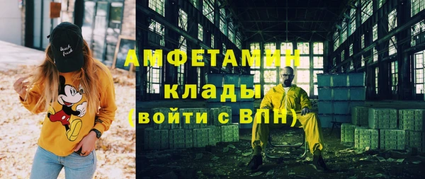 шишки Алексин