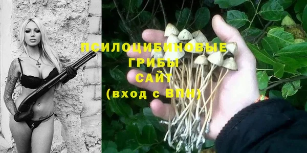 шишки Алексин