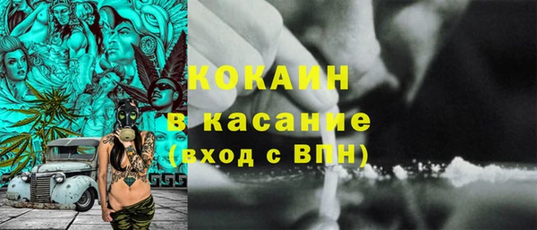 шишки Алексин