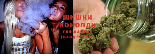 дживик Пестово